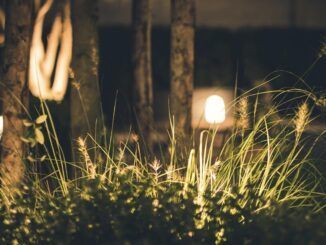 Siete ideas para iluminar tu jardín esta primavera y disfrutar de las noches de calor al aire libre